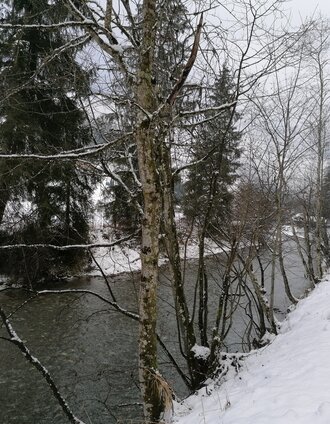 Zu Beginn der Wanderung entlang des Donnersbachs | © Erlebnisregion Schladming-Dachstein