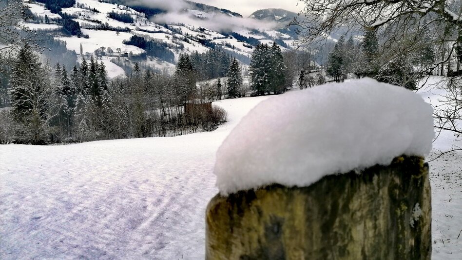 Winter Hiking Winter hiking on the Raumbergweg - Touren-Impression #2.2 | © Erlebnisregion Schladming-Dachstein