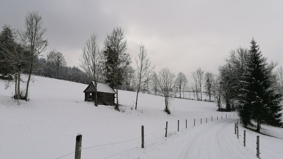 Winter Hiking Winter hiking on the Raumbergweg - Touren-Impression #2.3 | © Erlebnisregion Schladming-Dachstein