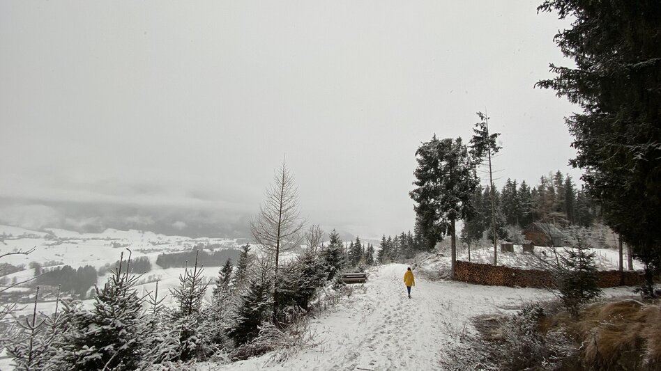 Winterwandern Winterwanderung zum Kulmgipfel - Touren-Impression #2.1 | © Erlebnisregion Schladming-Dachstein
