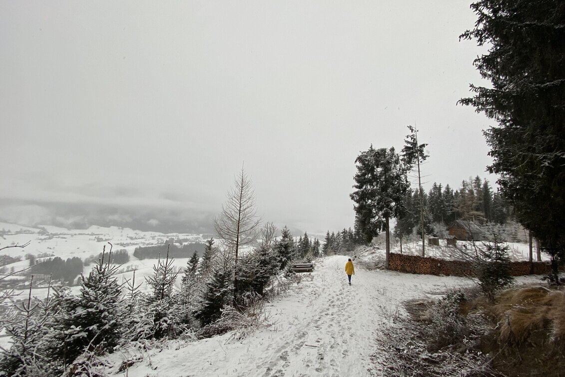 Winterwandern Winterwanderung zum Kulmgipfel - Touren-Impression #1 | © Erlebnisregion Schladming-Dachstein