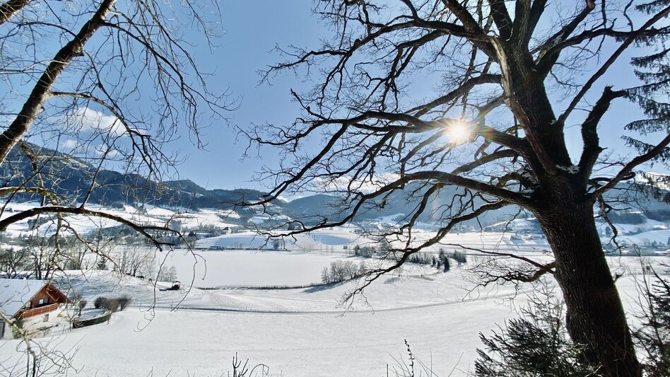 Winterwandern Winterwanderung zum Kulmgipfel - Touren-Impression #2.3 | © Erlebnisregion Schladming-Dachstein