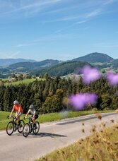 erwin_haiden-6071.jpg | © Region Graz | Erwin Haiden, bikeboard.at | © Region Graz