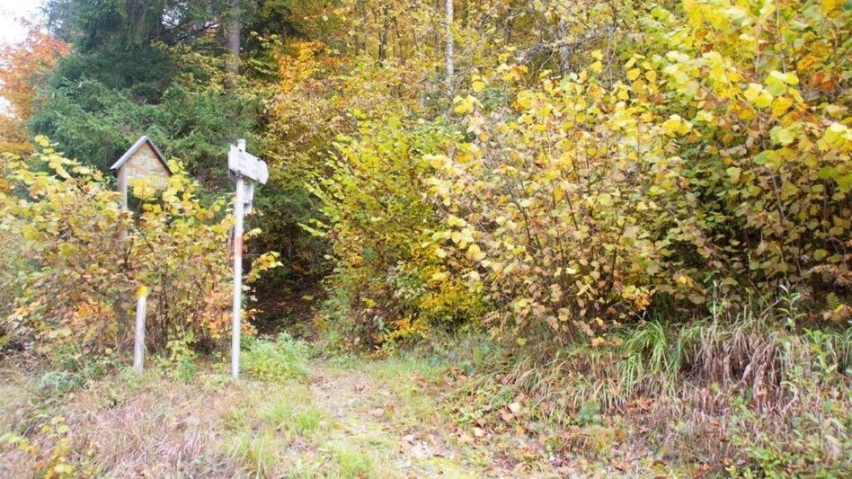 Wanderung Löwekogel-Hopfgarten Runde - Touren-Impression #2.1 | © TV Gesäuse