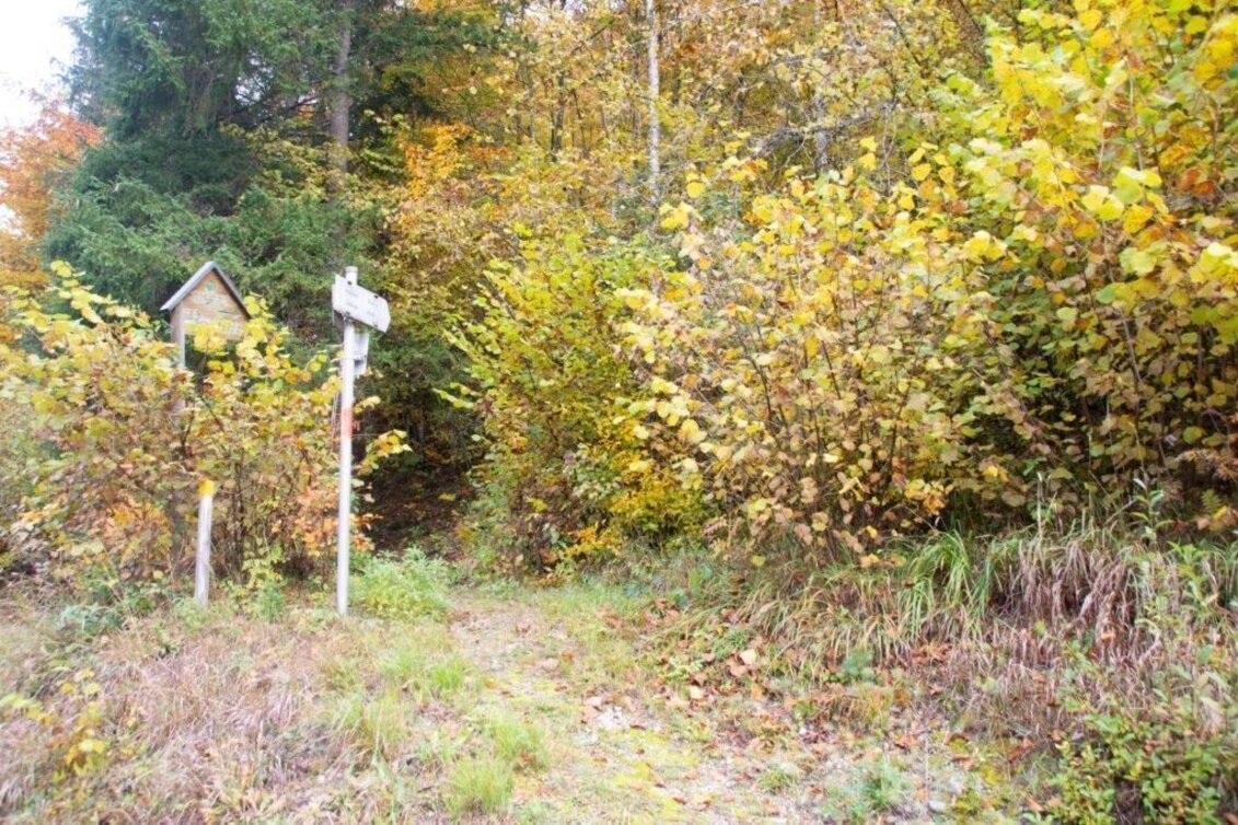 Wanderung Löwekogel-Hopfgarten Runde - Touren-Impression #1 | © TV Gesäuse