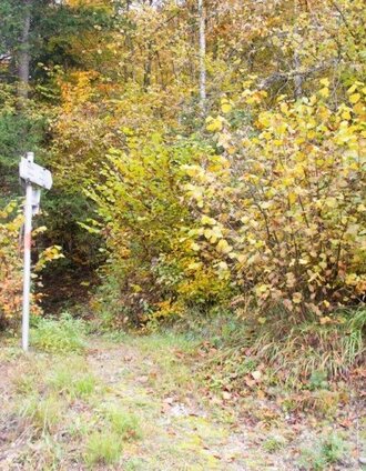 Startpunkt | Tourismusverband Gesäuse | © TV Gesäuse