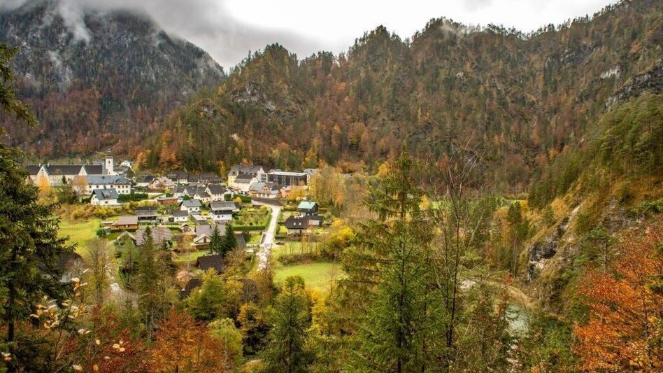 Wanderung Löwekogel-Hopfgarten Runde - Touren-Impression #2.3 | © TV Gesäuse