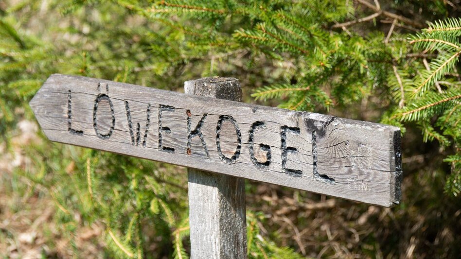 Wanderung Löwekogel-Hopfgarten Runde - Touren-Impression #2.10 | © TV Gesäuse