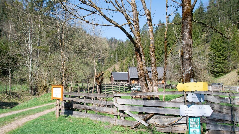 Wanderung Löwekogel-Hopfgarten Runde - Touren-Impression #2.11 | © TV Gesäuse