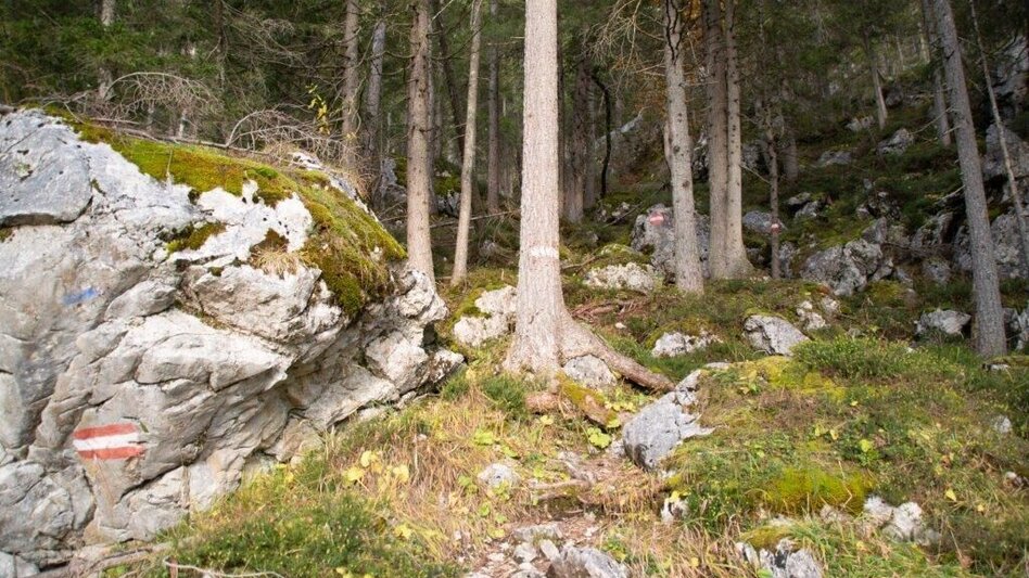 Hiking route Gspitzter Stein with Haselkaralm - Touren-Impression #2.4 | © TV Gesäuse