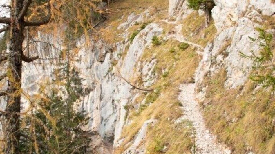 Hiking route Gspitzter Stein with Haselkaralm - Touren-Impression #2.8 | © TV Gesäuse