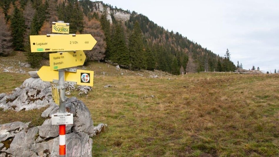 Hiking route Gspitzter Stein with Haselkaralm - Touren-Impression #2.6 | © TV Gesäuse