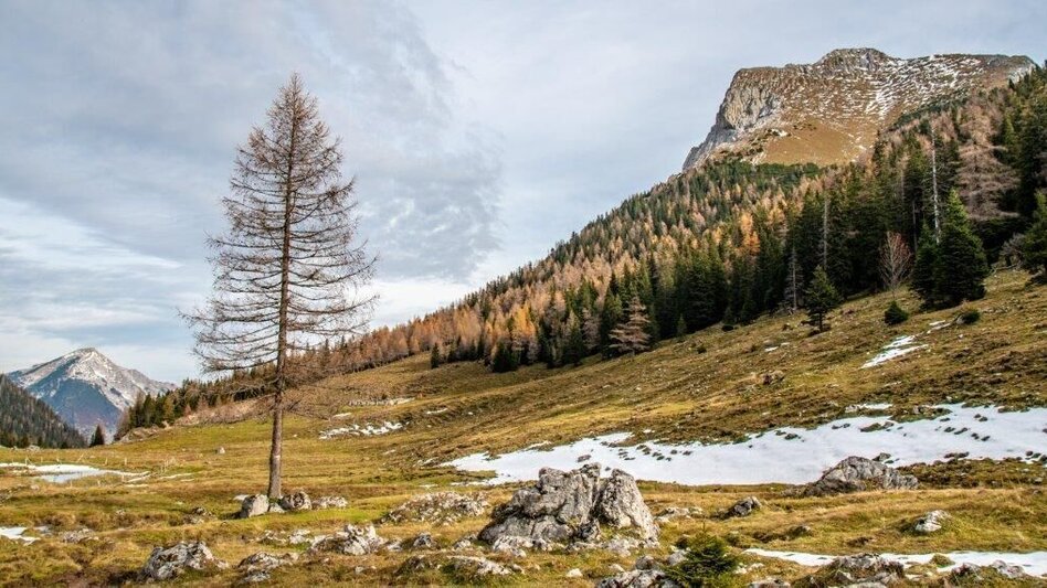 Hiking route Gspitzter Stein with Haselkaralm - Touren-Impression #2.7 | © TV Gesäuse