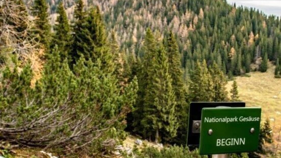 Hiking route Gspitzter Stein with Haselkaralm - Touren-Impression #2.9 | © TV Gesäuse