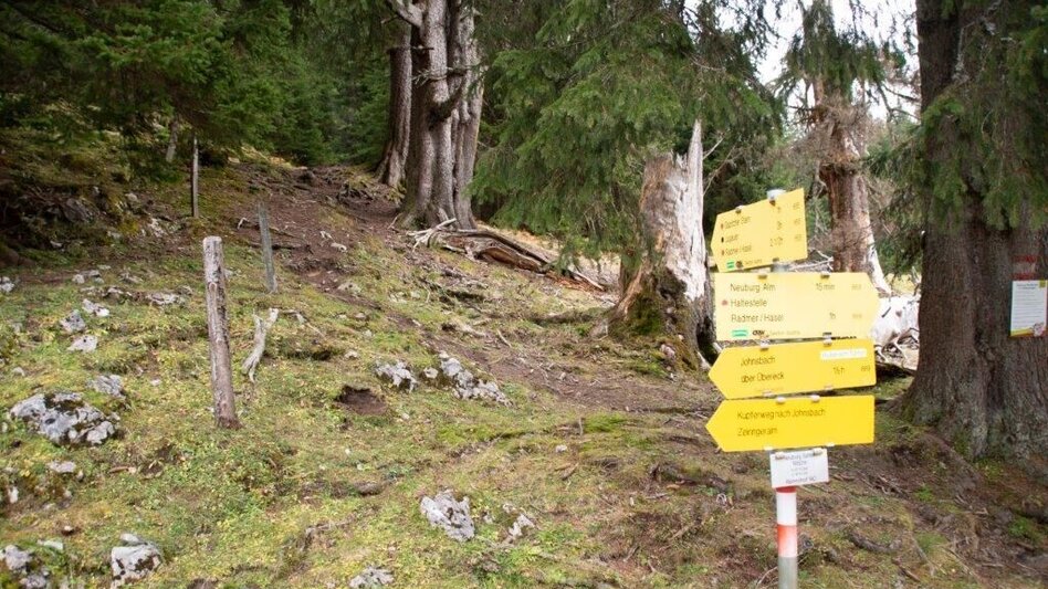 Hiking route Gspitzter Stein with Haselkaralm - Touren-Impression #2.10 | © TV Gesäuse