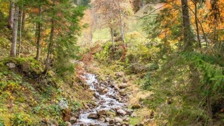Hiking route Gspitzter Stein with Haselkaralm - Touren-Impression #2.13 | © TV Gesäuse