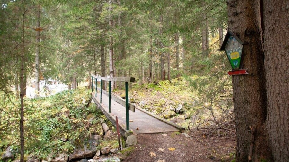 Hiking route Gspitzter Stein with Haselkaralm - Touren-Impression #2.14 | © TV Gesäuse