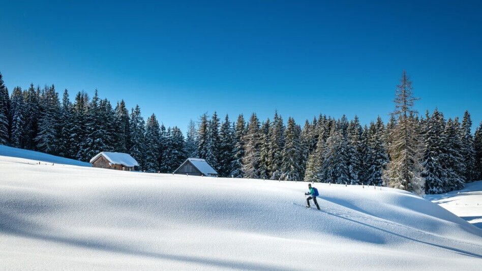 Ski Touring Ski tour Viehbergalm - Touren-Impression #2.1 | © Erlebnisregion Schladming-Dachstein