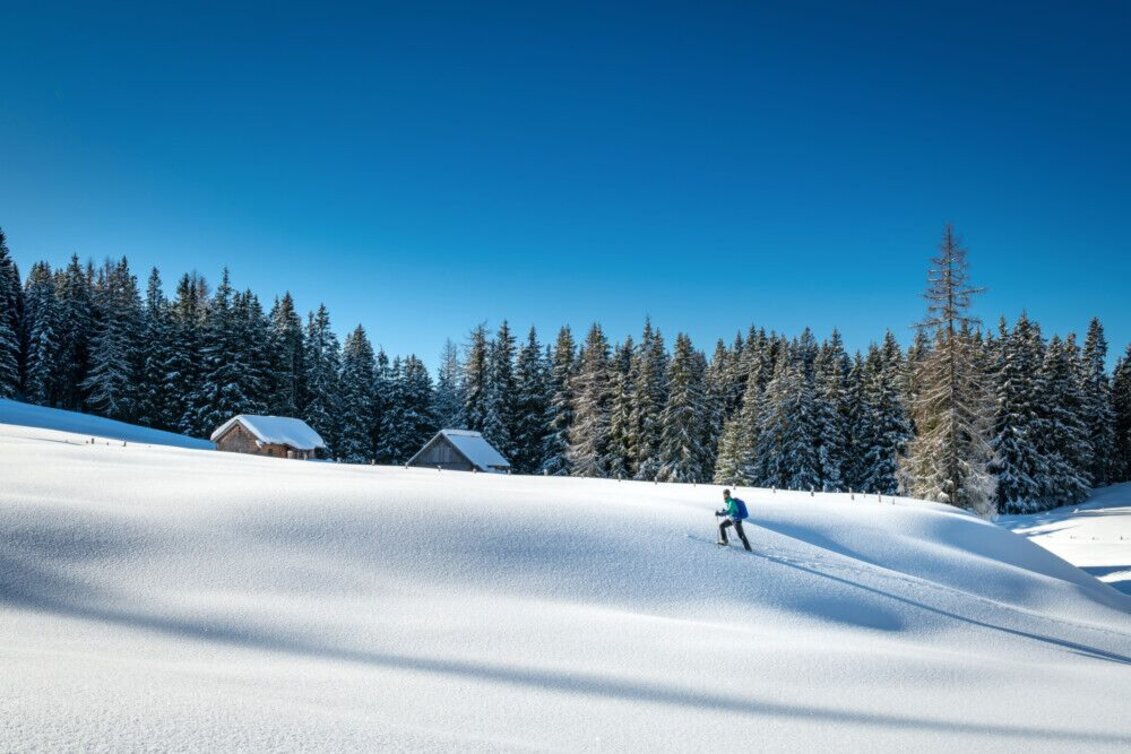 Ski Touring Ski tour Viehbergalm - Touren-Impression #1 | © Erlebnisregion Schladming-Dachstein