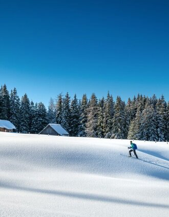 skitour viehbergalm_img_54558209 | Christoph Huber | © Erlebnisregion Schladming-Dachstein