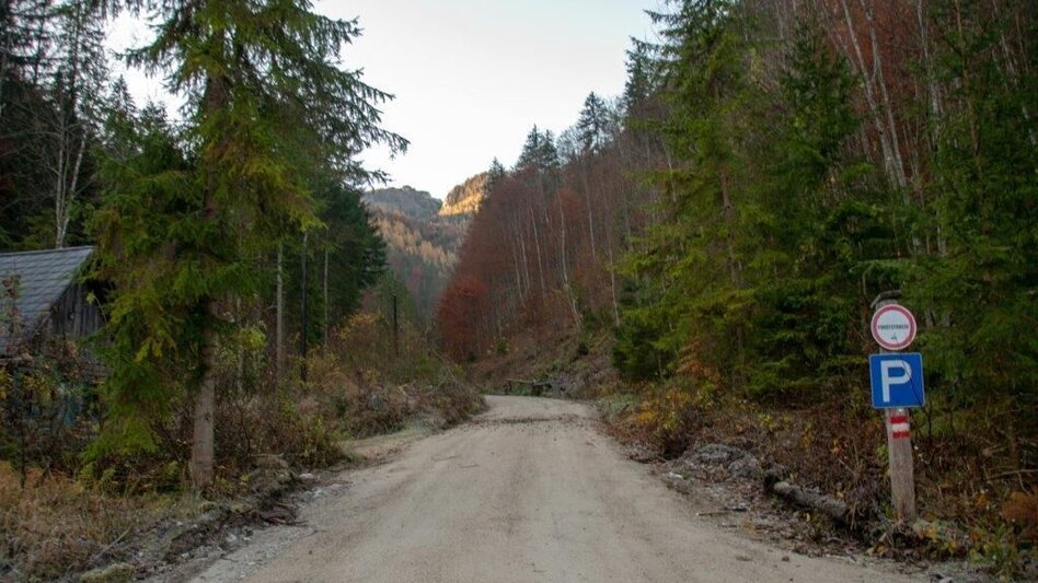 Mountain Hike Kleiner Buchstein vom Hocherb(Mühlbach) - Eisenzieher - Touren-Impression #2.5 | © TV Gesäuse