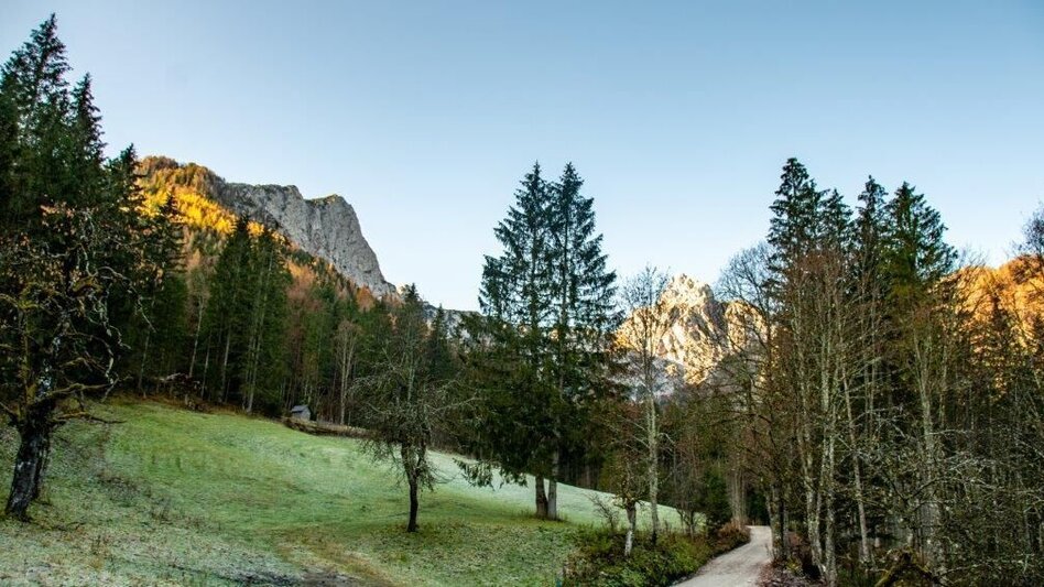 Mountain Hike Kleiner Buchstein vom Hocherb(Mühlbach) - Eisenzieher - Touren-Impression #2.6 | © TV Gesäuse