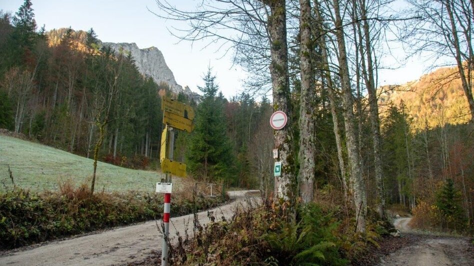 Mountain Hike Kleiner Buchstein vom Hocherb(Mühlbach) - Eisenzieher - Touren-Impression #2.7 | © TV Gesäuse