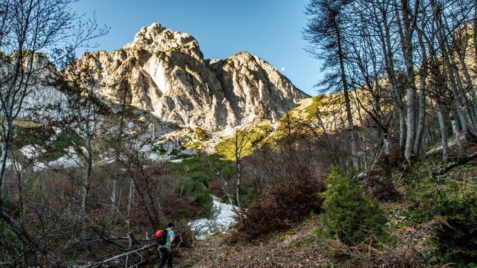 Mountain Hike Kleiner Buchstein vom Hocherb(Mühlbach) - Eisenzieher - Touren-Impression #2.8 | © TV Gesäuse