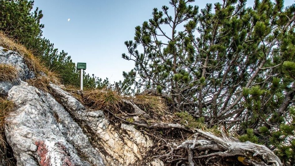 Mountain Hike Kleiner Buchstein vom Hocherb(Mühlbach) - Eisenzieher - Touren-Impression #2.11 | © TV Gesäuse