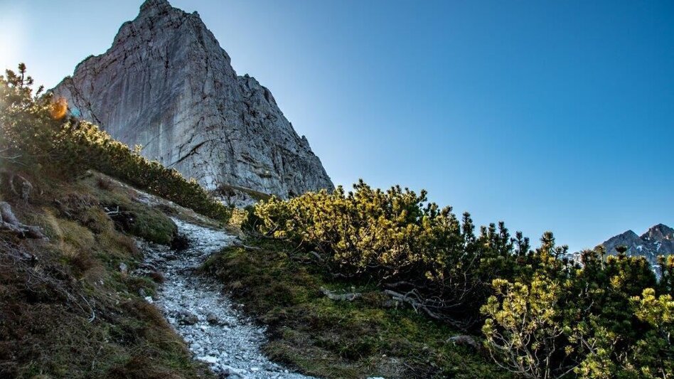 Mountain Hike Kleiner Buchstein vom Hocherb(Mühlbach) - Eisenzieher - Touren-Impression #2.12 | © TV Gesäuse