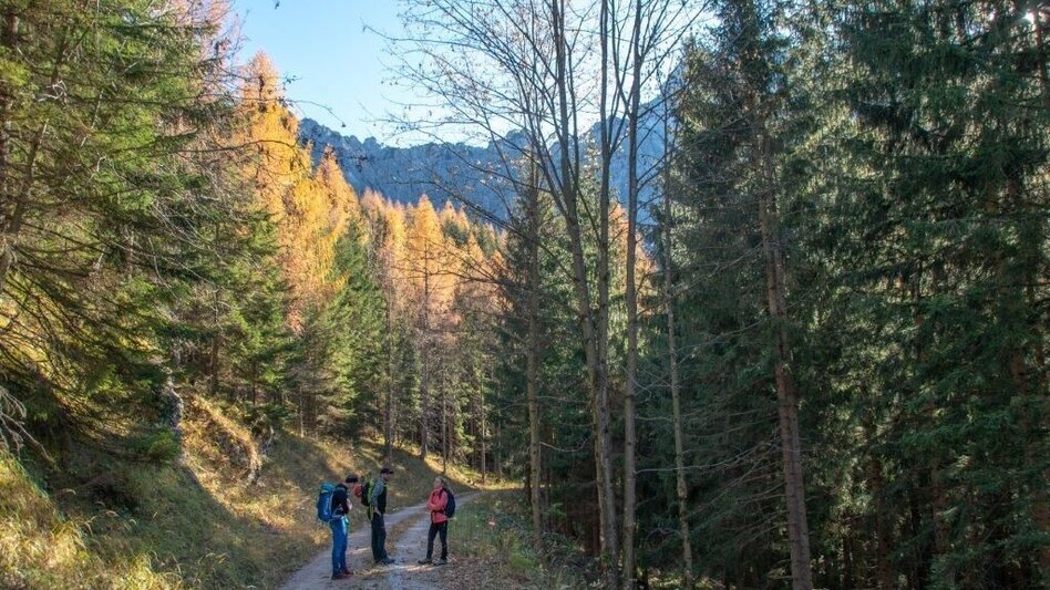 Mountain Hike Kleiner Buchstein vom Hocherb(Mühlbach) - Eisenzieher - Touren-Impression #2.15 | © TV Gesäuse