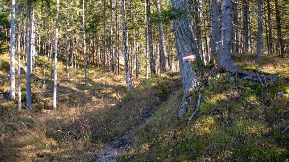 Mountain Hike Kleiner Buchstein vom Hocherb(Mühlbach) - Eisenzieher - Touren-Impression #2.16 | © TV Gesäuse