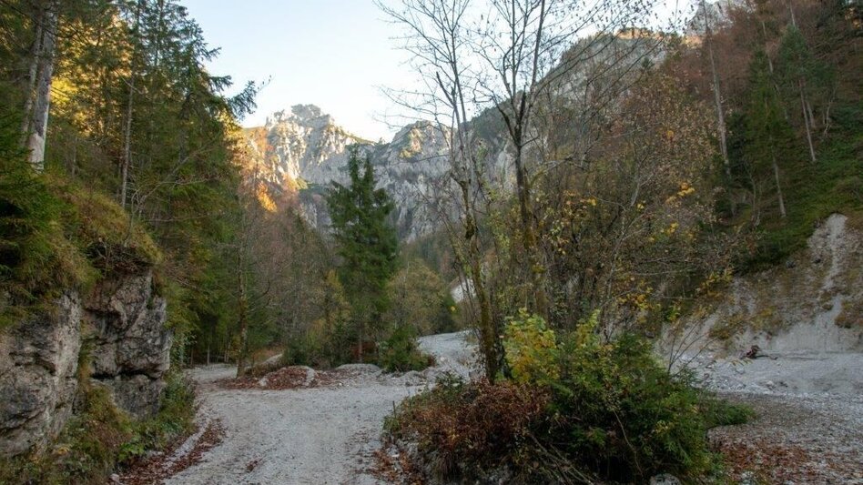 Mountain Hike Kleiner Buchstein vom Hocherb(Mühlbach) - Eisenzieher - Touren-Impression #2.17 | © TV Gesäuse