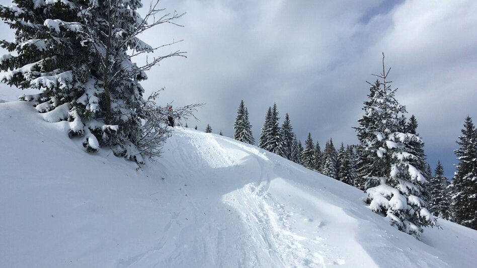 Ski Touring Ski tour to the Wetterin - Touren-Impression #2.1 | © TV Hochsteiermark