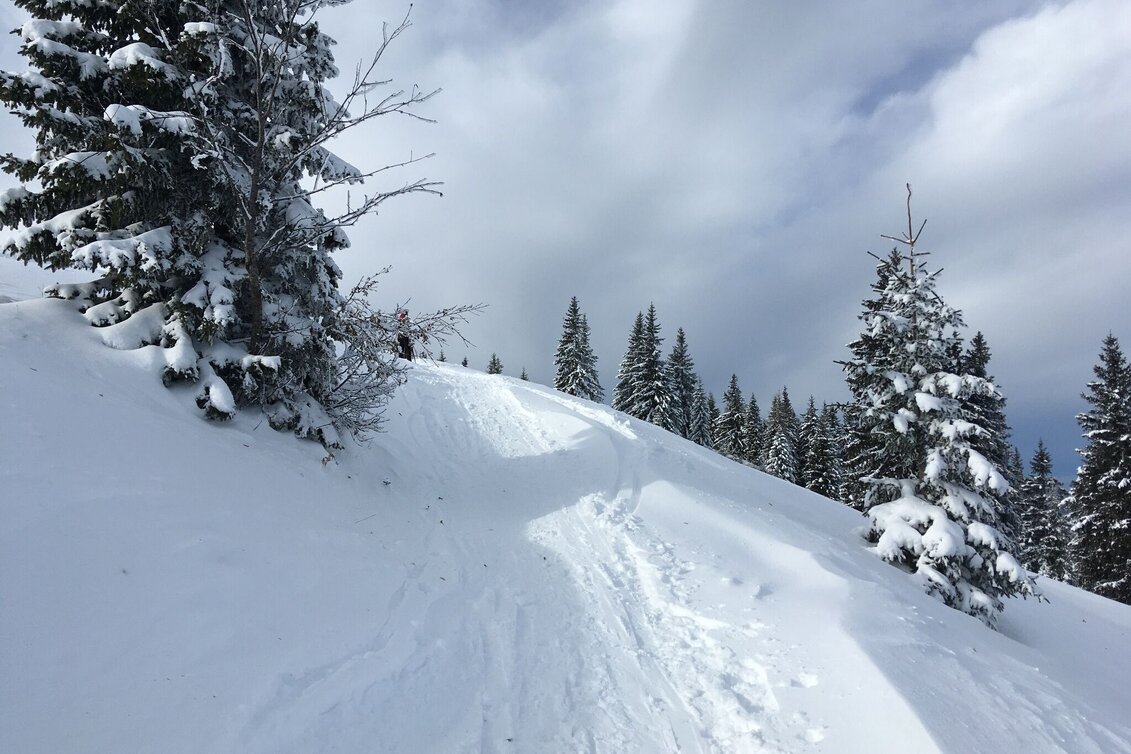 Ski Touring Ski tour to the Wetterin - Touren-Impression #1 | © TV Hochsteiermark