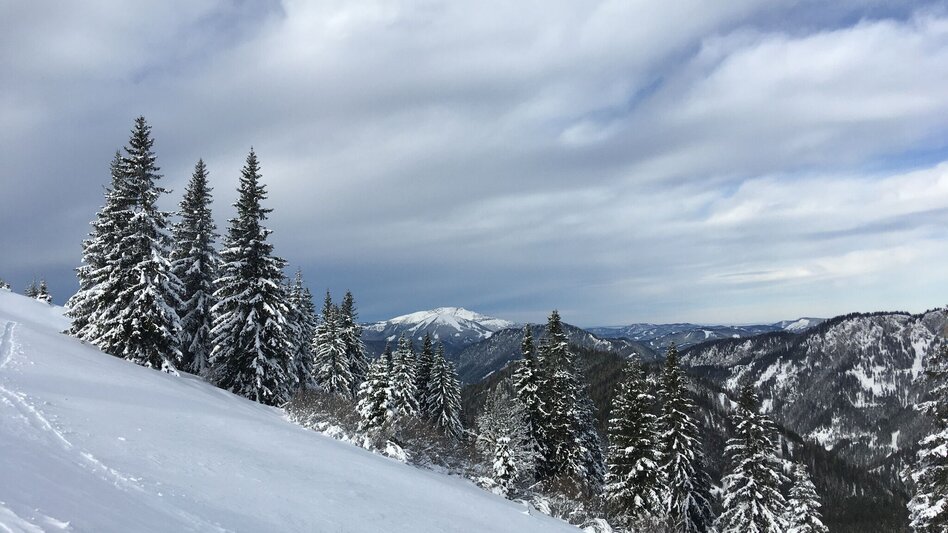 Ski Touring Ski tour to the Wetterin - Touren-Impression #2.3 | © TV Hochsteiermark