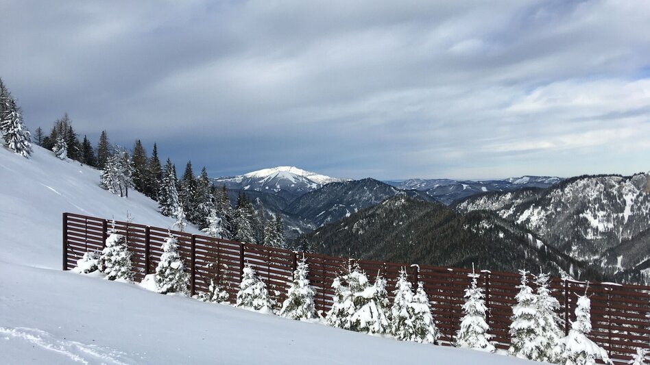 Ski Touring Ski tour to the Wetterin - Touren-Impression #2.6 | © TV Hochsteiermark