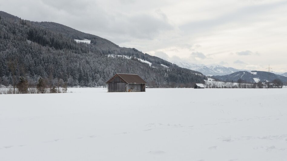 Winterwandern Winterwanderung Heiligenbrunn - Touren-Impression #2.2 | © Erlebnisregion Schladming-Dachstein