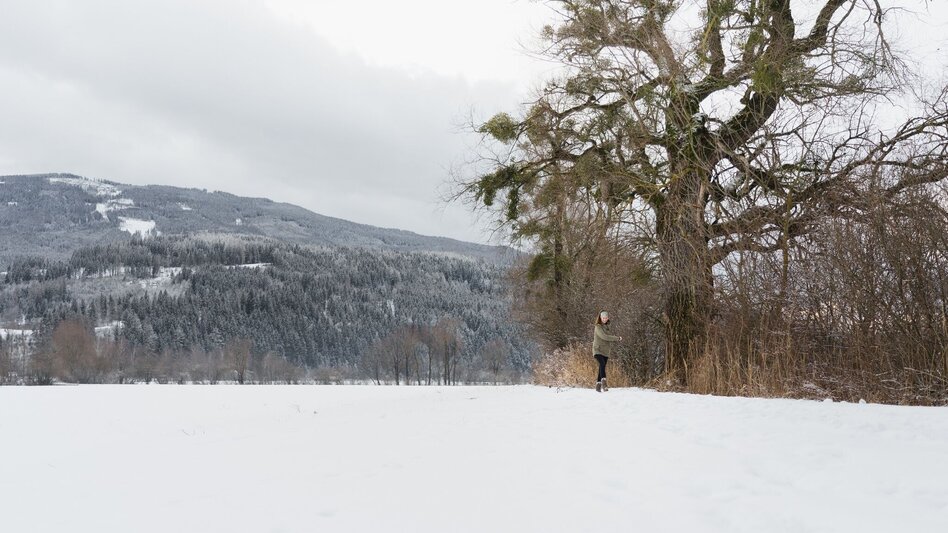 Winterwandern Winterwanderung Heiligenbrunn - Touren-Impression #2.3 | © Erlebnisregion Schladming-Dachstein