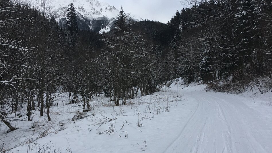 Ski Touring Ski tour to the Hohe Veitsch - Touren-Impression #2.7 | © TV Hochsteiermark