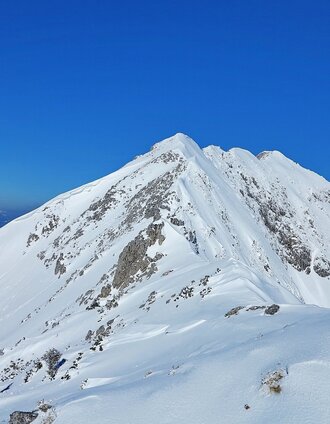 Wildkamm | Franz Fidi | © ÖAV Mariazellerland