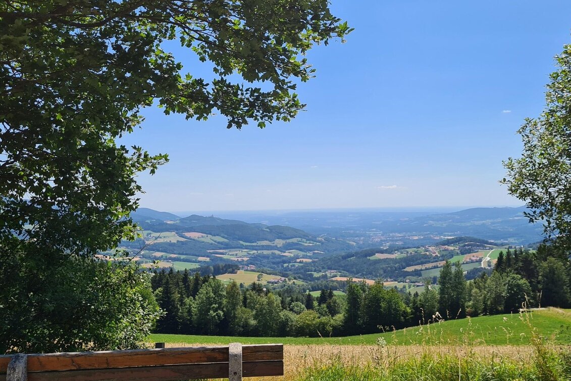 Wanderung Umrundung Naturpark Pöllauer Tal, Pöllau - Touren-Impression #1 | © Oststeiermark Tourismus