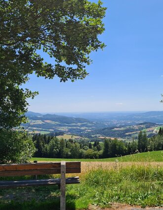 Schloffereck Aussichtpunkt Bank_NUP Pöllauer Tal_Oststeiermark | Christine Schwetz | © Oststeiermark Tourismus
