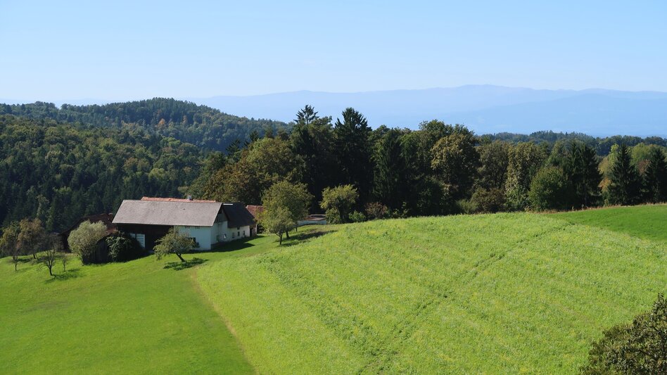 Radfahren Hügelland Tour 733 - Touren-Impression #2.4 | © Region Graz