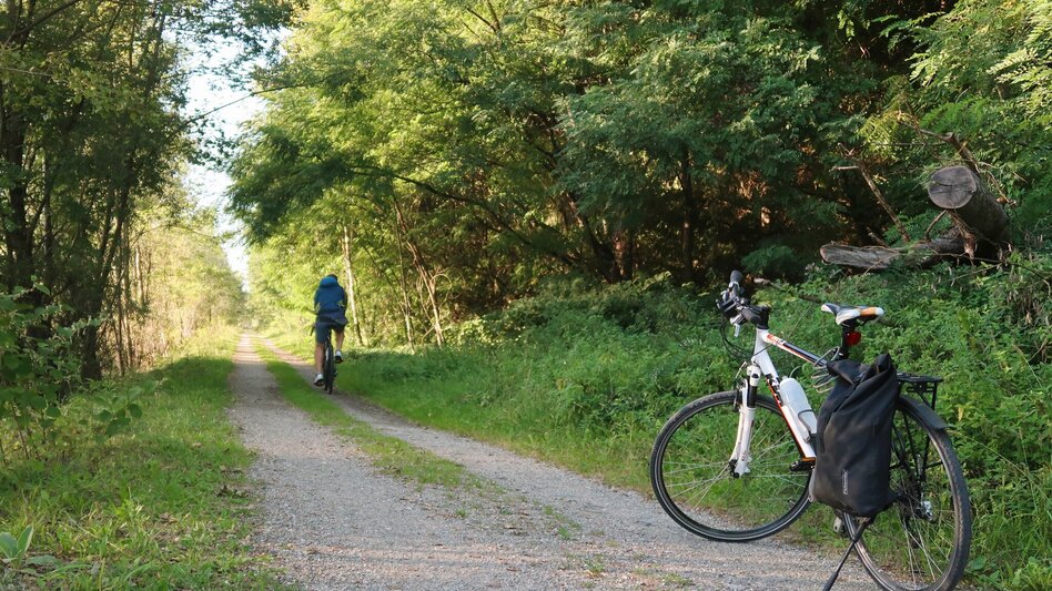 Radfahren Hügelland Tour 733 - Touren-Impression #2.8 | © Region Graz