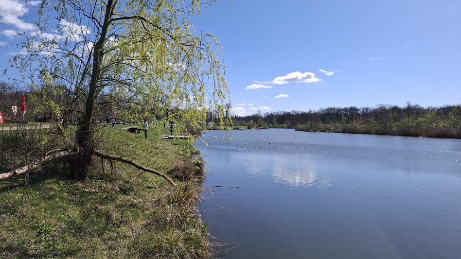 Radfahren Hügelland Tour 733 - Touren-Impression #2.9 | © Region Graz