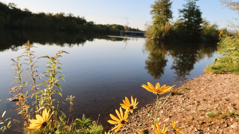 Radfahren Hügelland Tour 733 - Touren-Impression #2.10 | © Region Graz