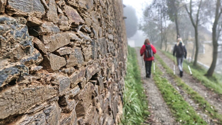 Wanderung Hammerleck über Aussichtswarte - Touren-Impression #2.1 | © Weges OG