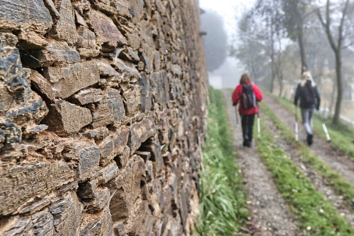 Wanderung Hammerleck über Aussichtswarte - Touren-Impression #1 | © Weges OG