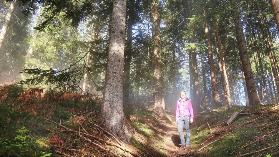 Wanderung Hammerleck über Aussichtswarte - Touren-Impression #2.2 | © Weges OG